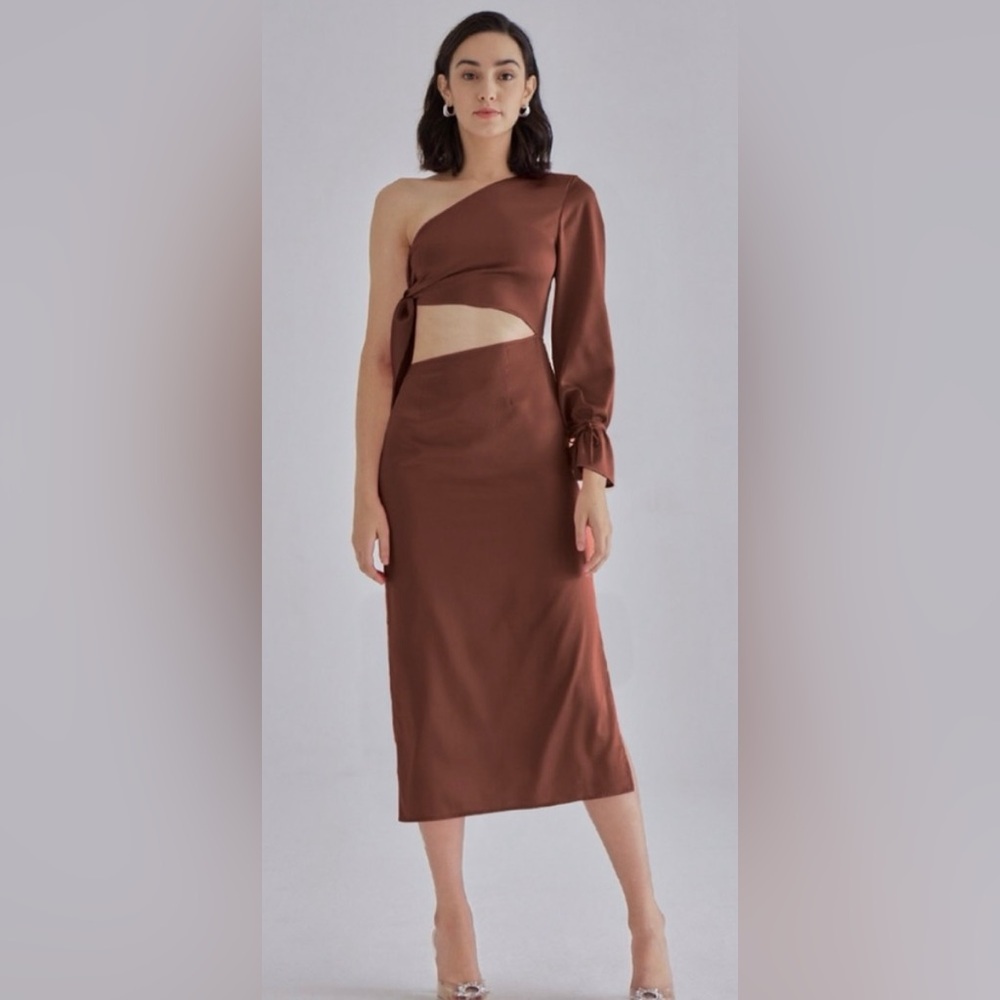 Silk Maison NWT Pink‎ Palace One Shoulder Dress in Brown